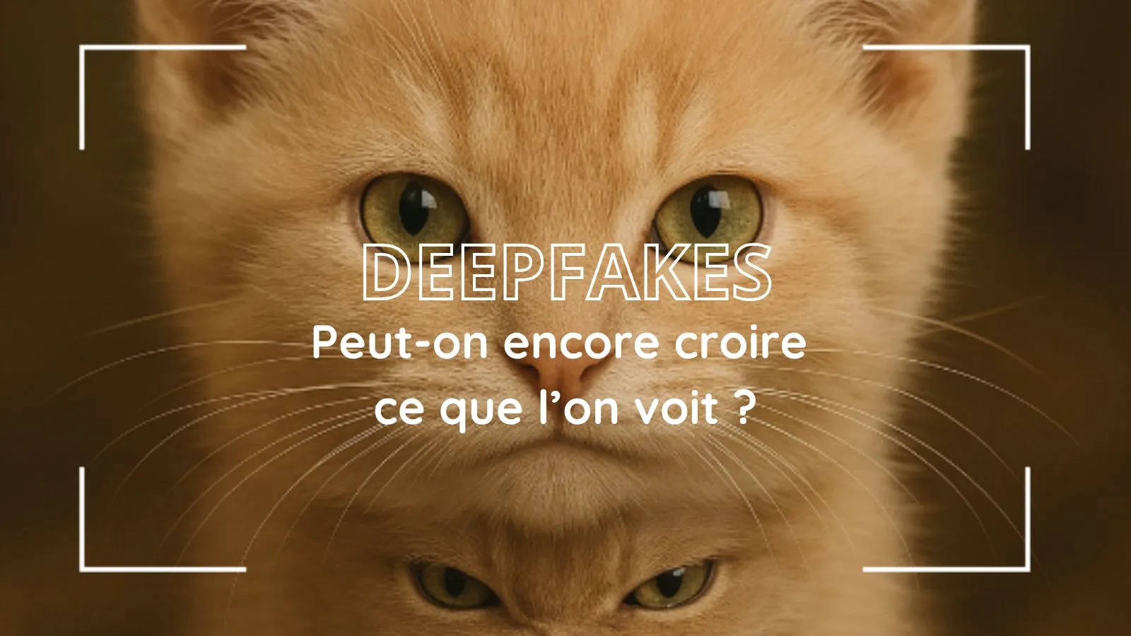 Gros plan sur un chaton roux, avec le titre « Deepfakes, peut-on encore croire ce que l’on voit ? »